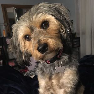 Meet your Posher, Colleen